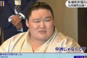 なんJ民「心の中の豪栄道はまだカド番や 来場所も陥落しろって言い続けるで」
