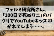 【悲報】フェルミ研究所さん、｢100日で死ぬワニ｣のパクリでYouTubeキッズ叩かれてしまう……。