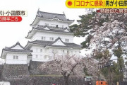 60代男性、「俺はコロナだ、小田原城を感染させる」と叫んだため全館消毒