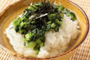 【朗報】野沢菜漬けに醤油つけてご飯に巻いて食うやつ、最強に美味い