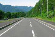 道路は人の手が入らないと数年でこうなってしまうらしい