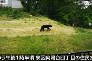 【宮城】仙台・泉区でクマ目撃８件相次ぐ・・・