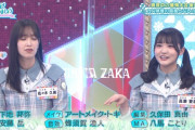 【日向坂46】うおおお！次回のひなあい、完全神回ｷﾀ━━━━(ﾟ∀ﾟ)━━━━!!