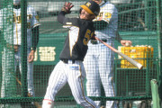 阪神・中野はイチローと同じタイプ　藤井康雄１、２軍巡回打撃コーチ初指導で判明、センスの塊や