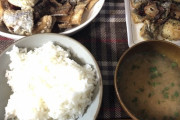 【画像】釣った魚が冷凍庫の中にあったから食べた