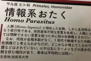 情報系おたくの説明を見て大声で泣いた