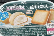 【画像】雪見だいふく「白い恋人」味とかいうの