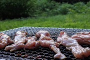 【BBQ】今から肉焼くぞwwwwwwww（画像あり）