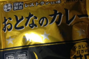 【朗報】野獣先輩、おとなのカレーの中にいることが判明