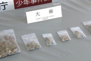 【悲報】高校生、大麻所持で6人逮捕。