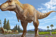 【画像】令和最新版のティラノサウルス