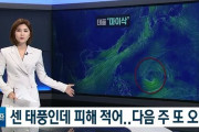 韓国気象庁「今度こそ台風9号が朝鮮半島を直撃します」→「誤報庁はこんな予報をして恥ずかしく無いの？」　韓国の反応