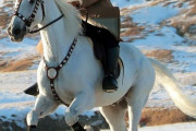 北朝鮮、金正恩委員長が白頭山で白馬にまたがる写真を公開…体制宣伝に利用か！