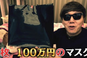 【悲報】HIKAKIN、100万のマスクを買うも顔がデカくて着けられず無事死亡