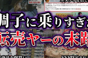 【転売ヤー爆死２選】ゲーム機を盗んで転売したが捕まった人たちをゆっくり解説 #転売ヤー爆死