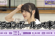 【乃木坂46】岡本姫奈、秀逸すぎる例えwww『ドラゴンボールって事！？』