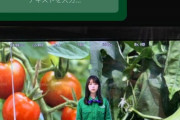 【乃木坂46】与田祐希の『インスタ質問返し』全回答がこちら！！！