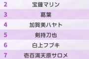 【画像】推しVtuberランキング、マリン船長を抑え星街すいちゃんが堂々1位に輝く