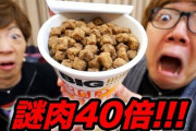 ネット民「謎肉！謎肉！ｷｬｯｷｬ」日清食品「ほーん謎肉か、謎肉祭！ｗ」ネット民「・・・」