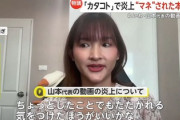 【画像】れいわ・山本代表の動画削除、報道が無慈悲にも本物に取材「やんわりダメ出しされ、励まされ日本の政治家が恥を晒す」