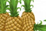 台湾産パイナップル　西友３００店舗で即日完売