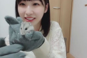 沖ちゃん、ぽこ太郎（ハムスター♀）を飼い始める?