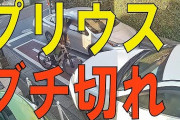 【動画】女性ドライバー、意地でも引かぬ