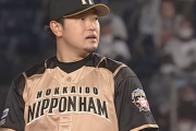 日本ハム池田隆英さん(26) 2.98 3勝7敗←この方に対しての率直な感想