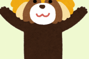 レッサーパンダのgifを思い浮かべてください