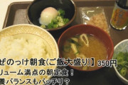 【画像】すき家のまぜのっけ朝食(350円)がコチラｗｗｗｗｗｗ