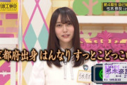 【乃木坂46】沈金に弓木ちゃんを充てた運営の誰かが凄いわ