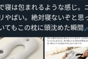 【画像】ニトリさん、とんでもない枕を発売してしまうｗｗｗｗｗｗｗ