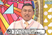 『おバカ決定戦』のなぞなぞがしょーもな過ぎ・・・【日向坂で会いましょう】【日向坂46】