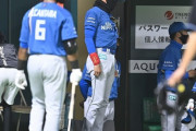 新庄ハム、開幕2連敗　これからだよな...？