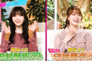 【櫻坂46】マジ可愛いなこの二人