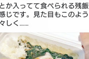 艦これさん、リアイベで残飯みたいなカレーを1400円で売ってしまう
