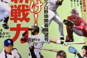 【朗報】2018年のベースボールマガジン、見つかる