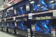 【速報】家電量販店のテレビに流れるNHK番組、受信料を払っていないことが判明「この根拠で通るなら俺らもセーフじゃねぇか！！」