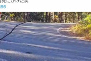 【悲報】GR86乗りさん、真っ昼間に峠道でドリフトの練習→一般車を巻き込みかけた映像をSNSに投稿→無事大炎上へｗｗｗ