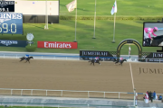 【UAEダービー】ワンダーディーン＆Cデムーロ騎手がｷﾀ━━━━(ﾟ∀ﾟ)━━━━!!