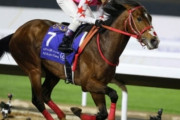 【悲報】競馬レース中に「ピンクカメハメハ」が急性心不全で急死→オタクがそれをネタにしてしまう