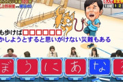 【紅白歌合戦】櫻坂46が2年ぶりに出場！　昨年出場した日向坂46は落選