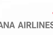 【日韓】日本の入国緩和を受け、アシアナ航空が仁川～名古屋便を4月から再開　東京・大阪・福岡路線も増便 [3/14]  [新種のホケモン★]