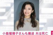 【伏線回収】小島瑠璃子さん、致命的ミスを犯していた