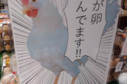 【画像】卵の魅力を発信！「私が卵産んでます！！」のこだわり紹介