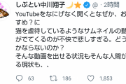 中川翔子「YouTubeのおすすめに猫を虐待しているようなサムネイルの動画がでてくるのが不快…」