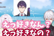 Vtuber 葛葉も剣持も他に選択肢あるのに普通わざわざ椎名選ばないよね→わかんないだろｗｗｗ人の好みは人それぞれだぞ！！！！！