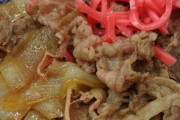 ワイの吉野家の牛丼の楽しみ方がこれwww（画像あり）