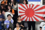 韓国教授、WBCでグローバルキャンペーン展開…旭日旗で応援するなら即座に告発、全世界に問題点を知らせる予定 [3/8]  [ばーど★]