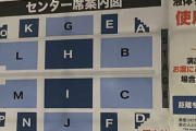 【乃木坂46】生田絵梨花 卒コン、アリーナ席Aの10列ってステージからやっぱり遠いかな？【センター席案内図】